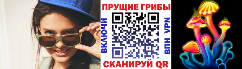 Купить закладки  Новосиль  Псилоцибиновые грибы Cubensis 